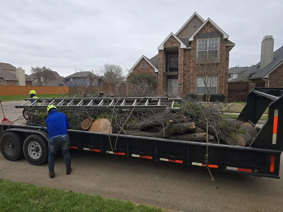 Expert Tree Pest Control with proper safety equipment in Tar Heel